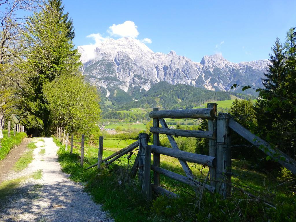 Alpin Lodge Leogang By Alpin Rentals ห้อง รูปภาพ