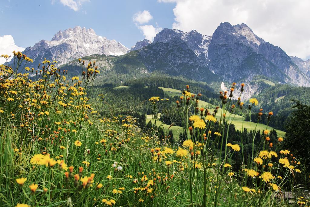 Alpin Lodge Leogang By Alpin Rentals ภายนอก รูปภาพ
