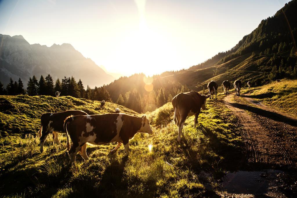 Alpin Lodge Leogang By Alpin Rentals ภายนอก รูปภาพ